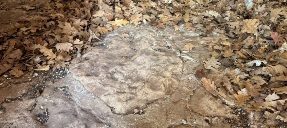 Studio in Monopoli, Italy, Nr. 140080 11