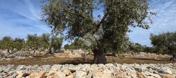 Studio in Monopoli, Italy, Nr. 140080 12