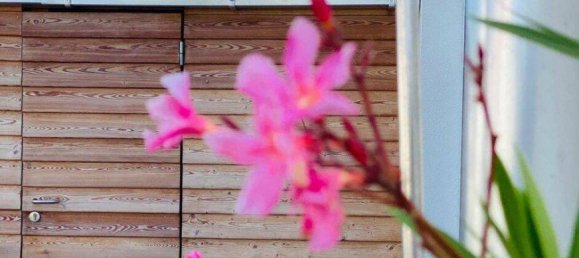 5-Zimmer Stadthaus in Furth bei Göttweig, Austria, Nr. 228556 21