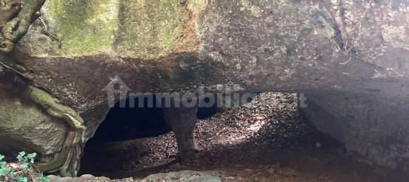 Villa de 3 dormitorios en Orte, Italy No. 164977 26