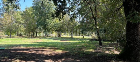 Villa de 3 dormitorios en Orte, Italy No. 164977 23