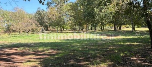 Villa de 3 dormitorios en Orte, Italy No. 164977 24