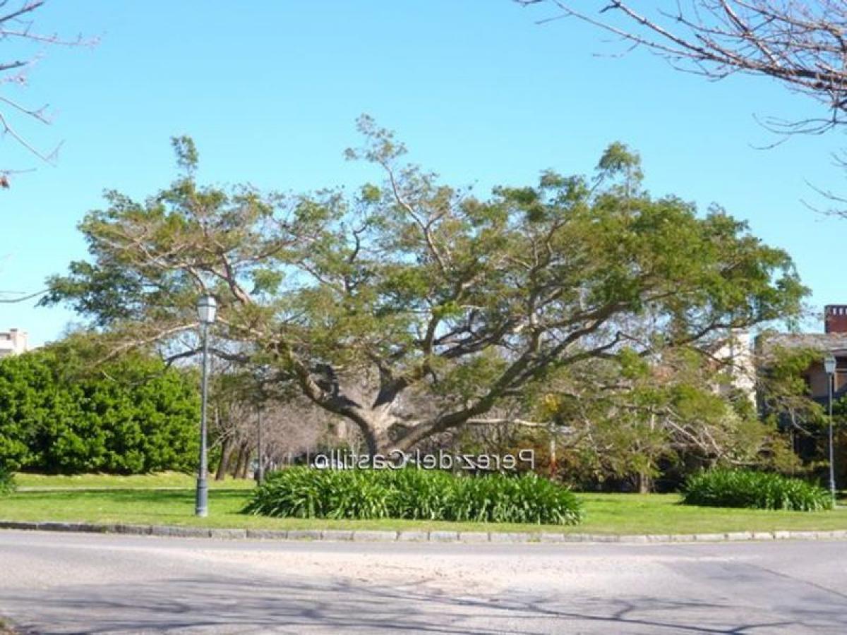  Land in Montevideo, Uruguay No. 15151