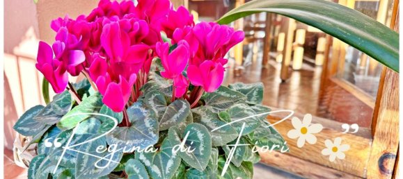 2 Schlafzimmer Wohnung in Genoa, Italy, Nr. 329867 28