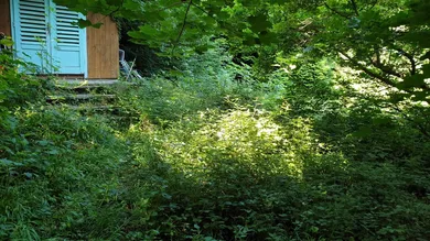 Grundstück in Hernals, Austria 1200m², Nr. 98213