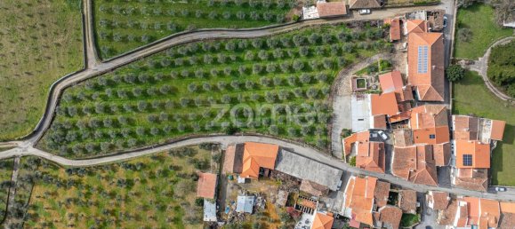 9 bedrooms House in Murca, Portugal No. 92170 45