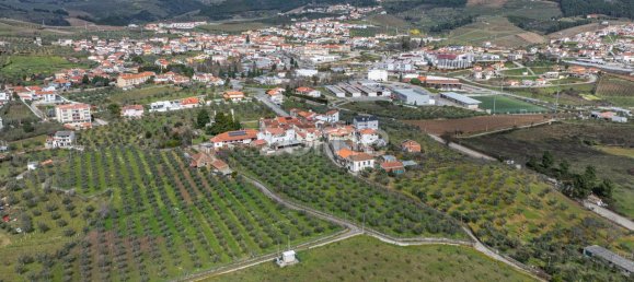 9 bedrooms House in Murca, Portugal No. 92170 44