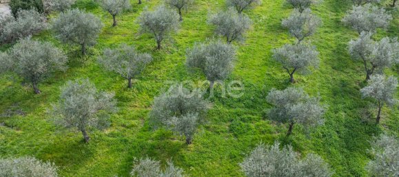 9 bedrooms House in Murca, Portugal No. 92170 49