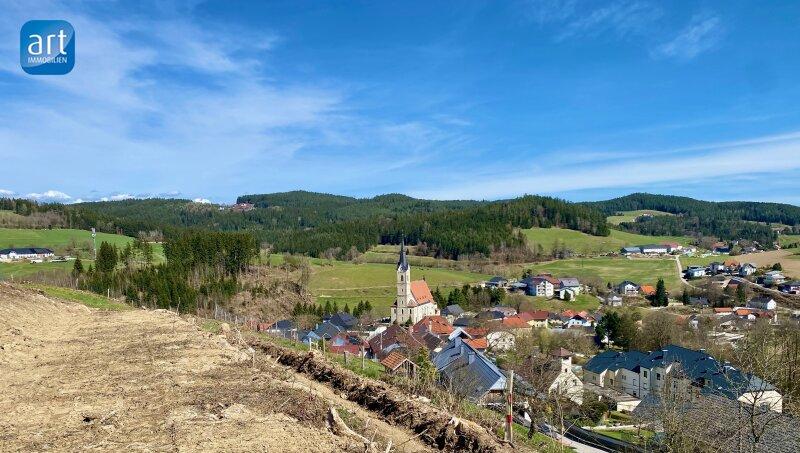  Land in Reichenau im Muhlkreis, Austria No. 164958