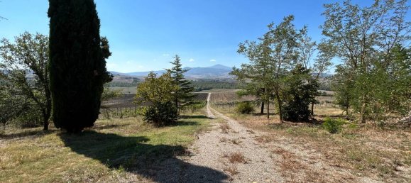 8 bedrooms House in Pienza, Italy No. 54027 6