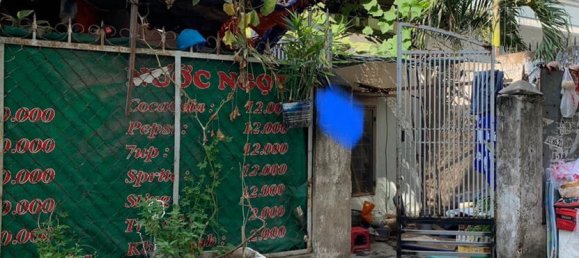 220m² House in District 7, Vietnam No. 12996 2