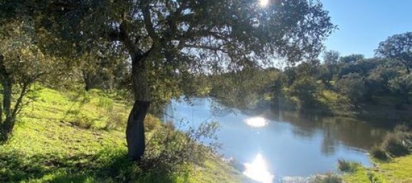 3 bedrooms House in Vila Verde de Ficalho, Portugal No. 190199 22