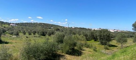 3 bedrooms House in Vila Verde de Ficalho, Portugal No. 190199 31