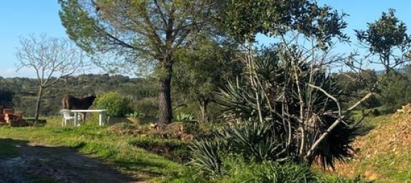 3 bedrooms House in Vila Verde de Ficalho, Portugal No. 190199 25