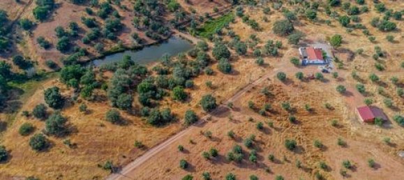 3 bedrooms House in Vila Verde de Ficalho, Portugal No. 190199 4