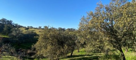 3 bedrooms House in Vila Verde de Ficalho, Portugal No. 190199 20