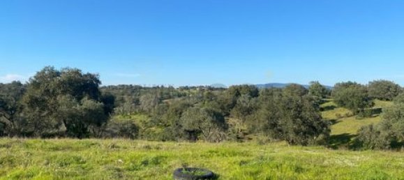 3 bedrooms House in Vila Verde de Ficalho, Portugal No. 190199 23