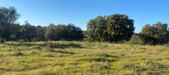 3 bedrooms House in Vila Verde de Ficalho, Portugal No. 190199 24