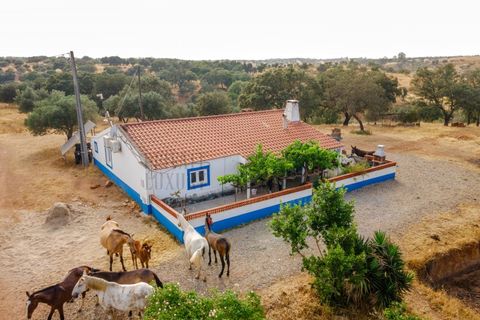 3 bedrooms House in Vila Verde de Ficalho, Portugal No. 190199