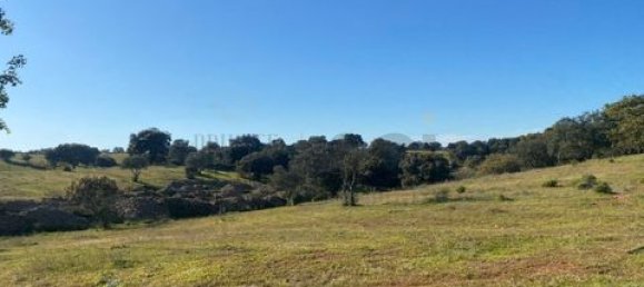 3 bedrooms House in Vila Verde de Ficalho, Portugal No. 190199 28