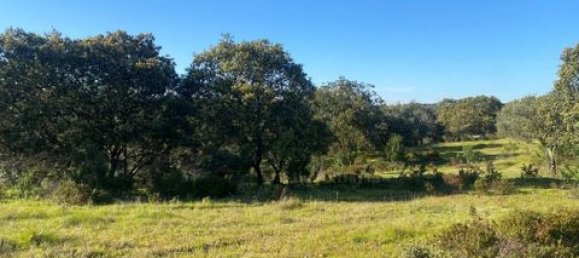 3 bedrooms House in Vila Verde de Ficalho, Portugal No. 190199 26