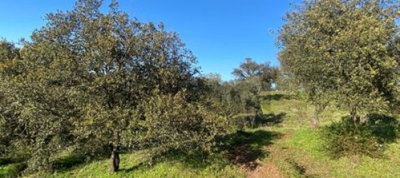 3 bedrooms House in Vila Verde de Ficalho, Portugal No. 190199 21