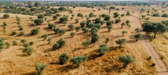 3 bedrooms House in Vila Verde de Ficalho, Portugal No. 190199 19