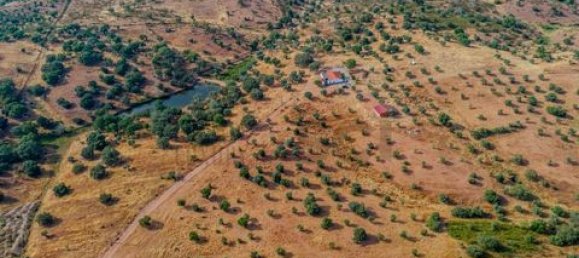 3 bedrooms House in Vila Verde de Ficalho, Portugal No. 190199 16