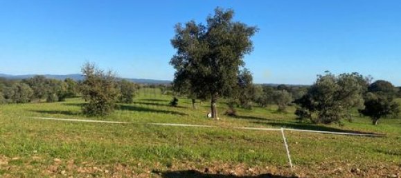 3 bedrooms House in Vila Verde de Ficalho, Portugal No. 190199 27