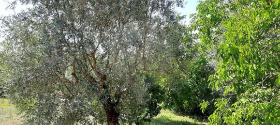 2 bedrooms House in Redinha, Portugal No. 179416 6