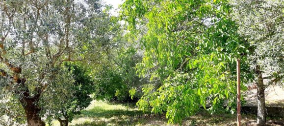 2 bedrooms House in Redinha, Portugal No. 179416 17