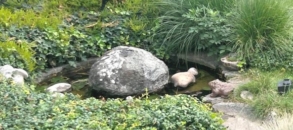 4 Schlafzimmer Stadthaus in Worms, Germany, Nr. 312629 45