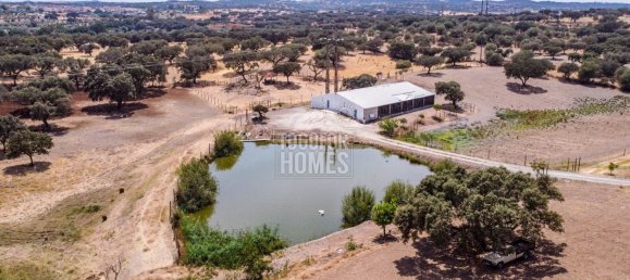 8 Schlafzimmer Schlösser in Evora, Portugal, Nr. 355007 25