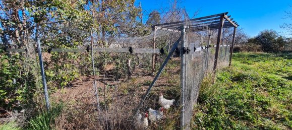 4 غرف نوم منزل في Zaragoza, Spain رقم 113495 48