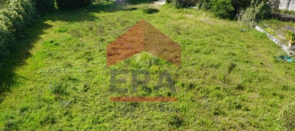 800m² Building in Caldas da Rainha, Portugal No. 143760 5