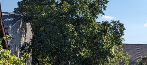 Земельный участок в Рейнланд-Пфальц, Германия № 143731 4