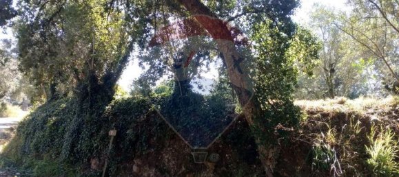 Terrain à Avelas de Cima, Portugal 620m² No. 64350 7