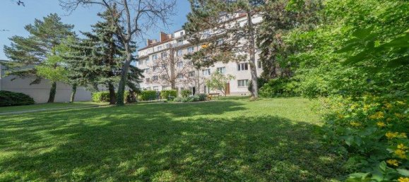 3 rooms Apartment in Schwechat, Austria No. 175393 7