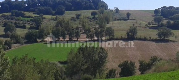 3 bedrooms House in Todi, Italy No. 43221 5