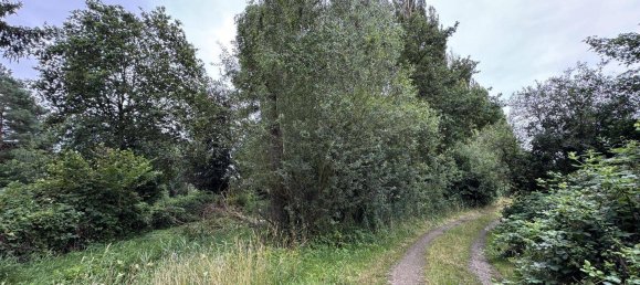 Terreno en Luchow-Dannenberg, Germany No. 350464 7