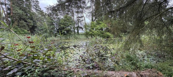 Terreno en Luchow-Dannenberg, Germany No. 350464 3