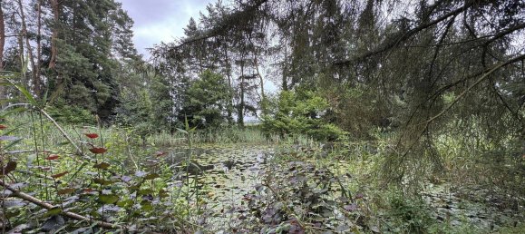 Terreno en Luchow-Dannenberg, Germany No. 350464 2