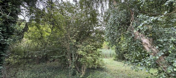 Terreno en Luchow-Dannenberg, Germany No. 350464 6