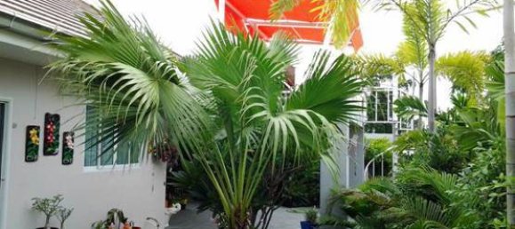 2 bedrooms Cafe / restaurant in Pattaya, Thailand No. 1672 6