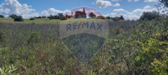 6330m² Land in Silves, Portugal No. 41789 2