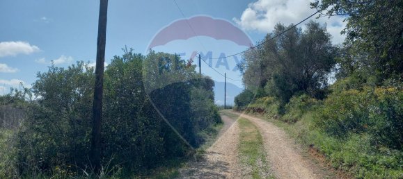 6330m² Land in Silves, Portugal No. 41789 5