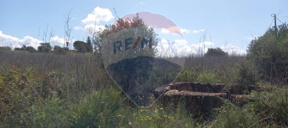 6330m² Land in Silves, Portugal No. 41789 3