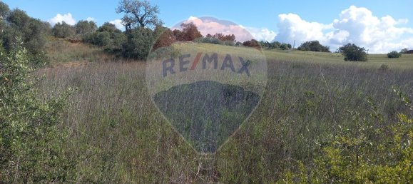 6330m² Land in Silves, Portugal No. 41789 4