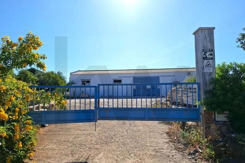 432m² Warehouse in Olhao, Portugal No. 249613