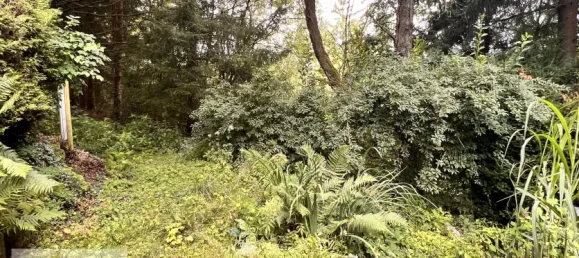 2 Schlafzimmer Haus in Odenwaldkreis, Germany, Nr. 241432 33